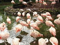 Florida_0158_10-31-2007.JPG
