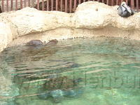 Florida_0160_10-31-2007.JPG