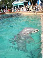 Florida_0163_10-31-2007.JPG