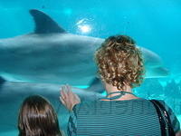 Florida_0172_10-31-2007.JPG