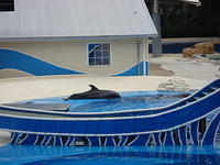 Florida_0173_10-31-2007.JPG