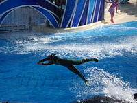 Florida_0187_10-31-2007.JPG