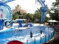 Florida_0191_10-31-2007.JPG