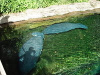 Florida_0192_10-31-2007.JPG