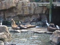 Florida_0197_10-31-2007.JPG