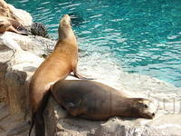 Florida_0198_10-31-2007.JPG