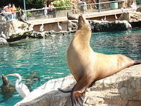 Florida_0200_10-31-2007.JPG