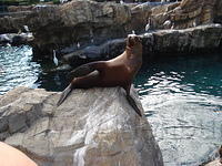 Florida_0203_10-31-2007.JPG