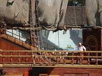 Florida_0205_10-31-2007.JPG