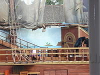 Florida_0206_10-31-2007.JPG