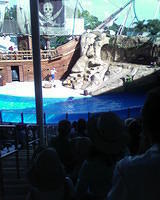SP_A0067.jpg