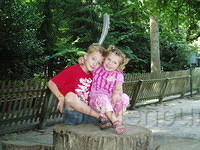 2006 Augustus - Groenendaalse Bos