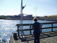 Hedesunda - P7020005.JPG