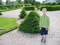 Hedesunda - P7050026.JPG