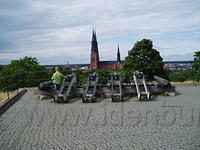 Hedesunda - P7050035.JPG