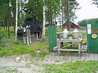 Hedesunda - P7070002.JPG
