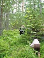 Hedesunda - P7090016.JPG