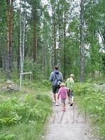 Hedesunda - P7110030.JPG