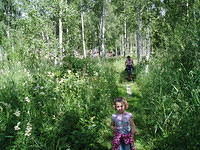 Hedesunda - P7110051.JPG