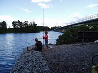 Hedesunda - P7120062.JPG