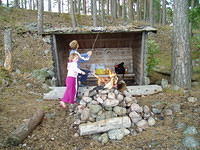 Hedesunda - P7140105.JPG
