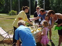 Hedesunda - P7150111.JPG