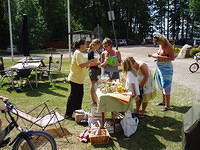 Hedesunda - P7150114.JPG