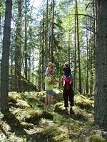 Hedesunda - P7160125.JPG