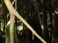 Hedesunda - P7160137.JPG