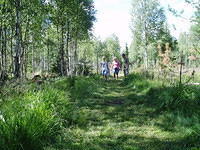 Hedesunda - P7160143.JPG