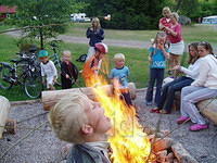 Hedesunda - P7160152.JPG