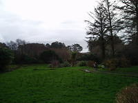 Ierland 20070223_165834 011.jpg