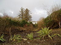 Ierland 20070223_171541 015.jpg