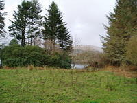 Ierland 20070223_172730 023.jpg