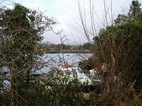Ierland 20070223_173710 029.jpg