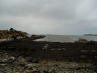 Ierland 20070223_175418 032.jpg