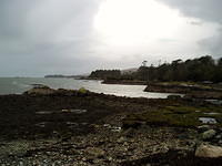 Ierland 20070223_175427 033.jpg