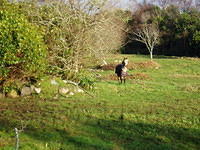 Ierland 20070224_183046 045.jpg