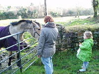 Ierland 20070224_183449 047.jpg