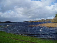 Ierland 20070225_132710 107.jpg