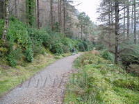 Ierland 20070226_124205 116.jpg
