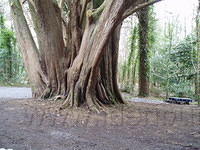 Ierland 20070226_131742 118.jpg