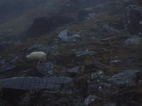 Ierland 20070226_180738 124.jpg