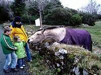 Ierland 20070228_144949 003.jpg
