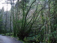 Ierland 20070301_124040 125.jpg