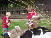 PA130032.JPG