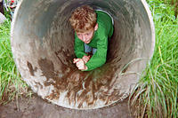 10_imm016_N16.jpg