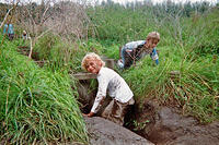 12_imm014_N14.jpg
