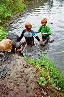 25_imm001_N1.jpg