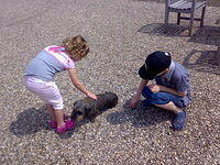 07062008079.jpg